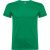 VERDE KELLY